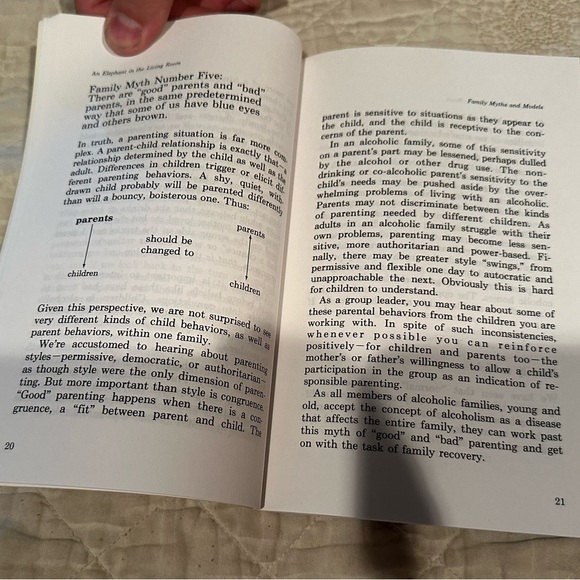 An elephant in the living room-leader’s guide for helping children of alcoholics - Picture 6 of 9